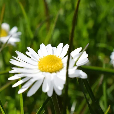 Cozy In With Wifi 別荘 *